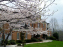 House with Cherry Blossoms